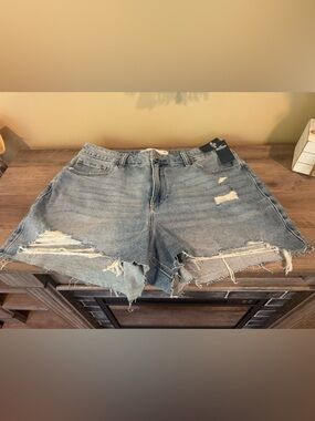Hollister Light Blue Ripped Denim Cutoff Shorts